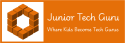 Junior Tech Guru